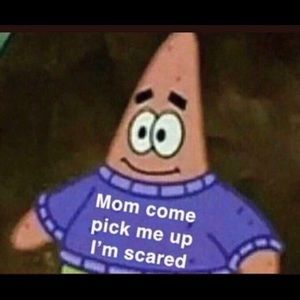 Meet your Posher, Anari